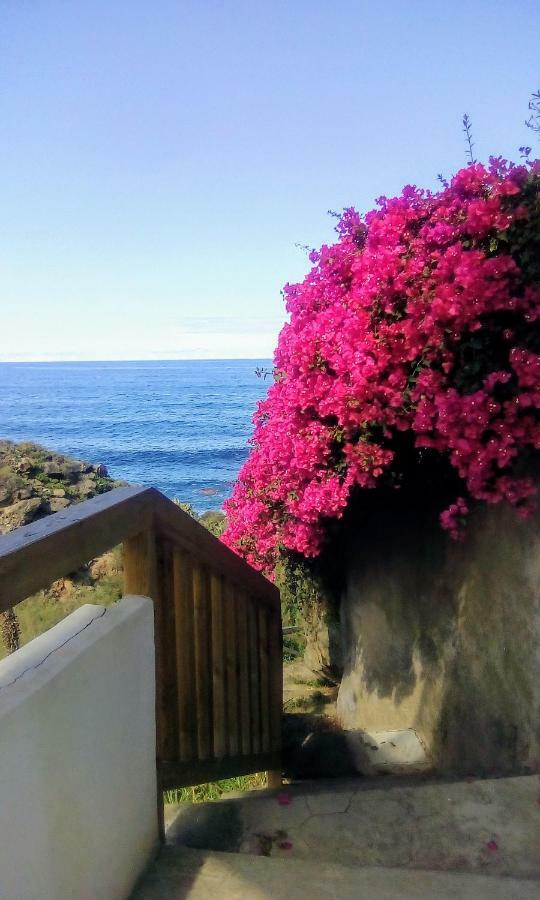 La Pardela Oceanfront Apartment Los Realejos Exterior photo